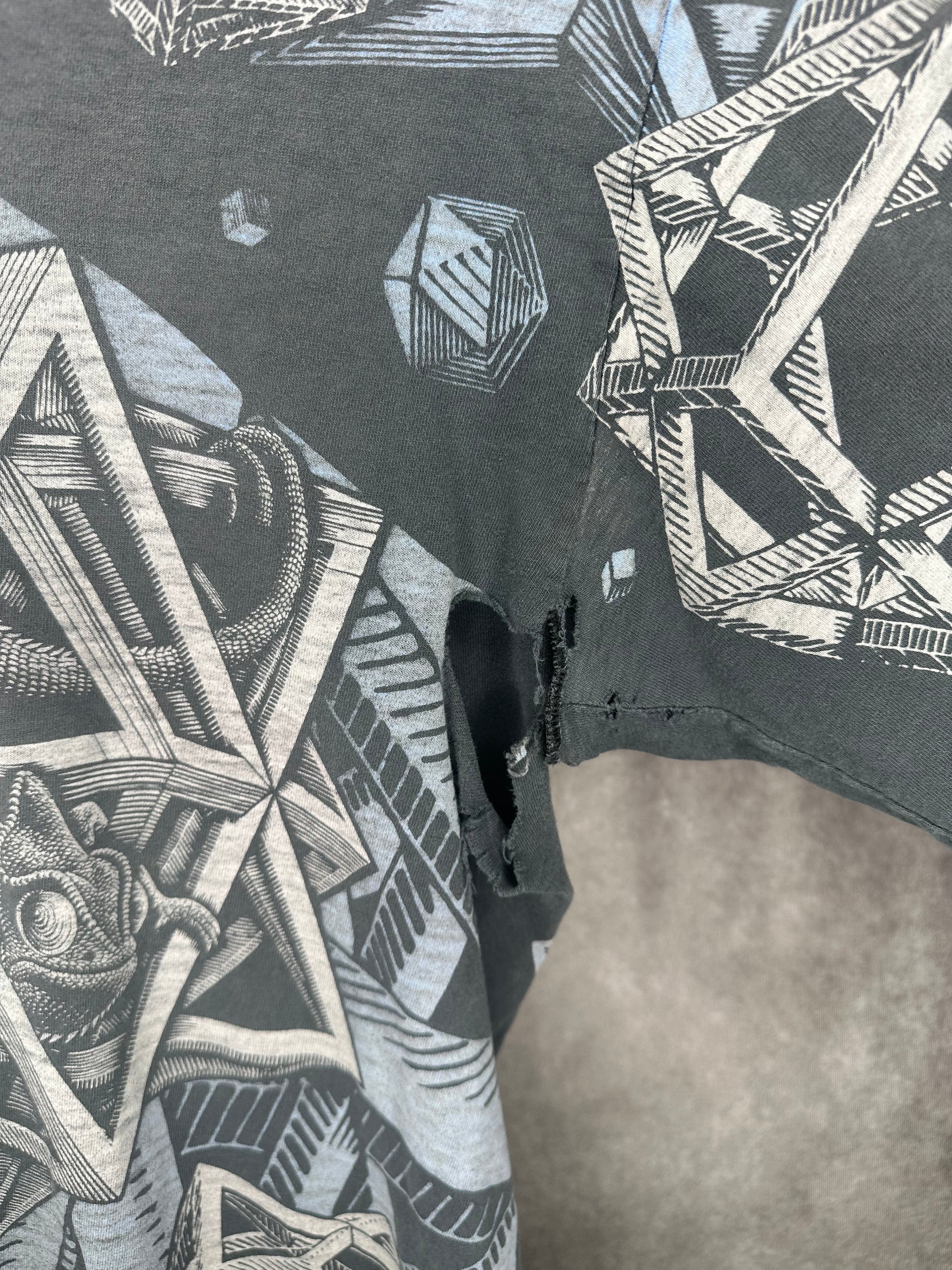 MC ESCHER CHAMELEON AOP LONGSLEEVE