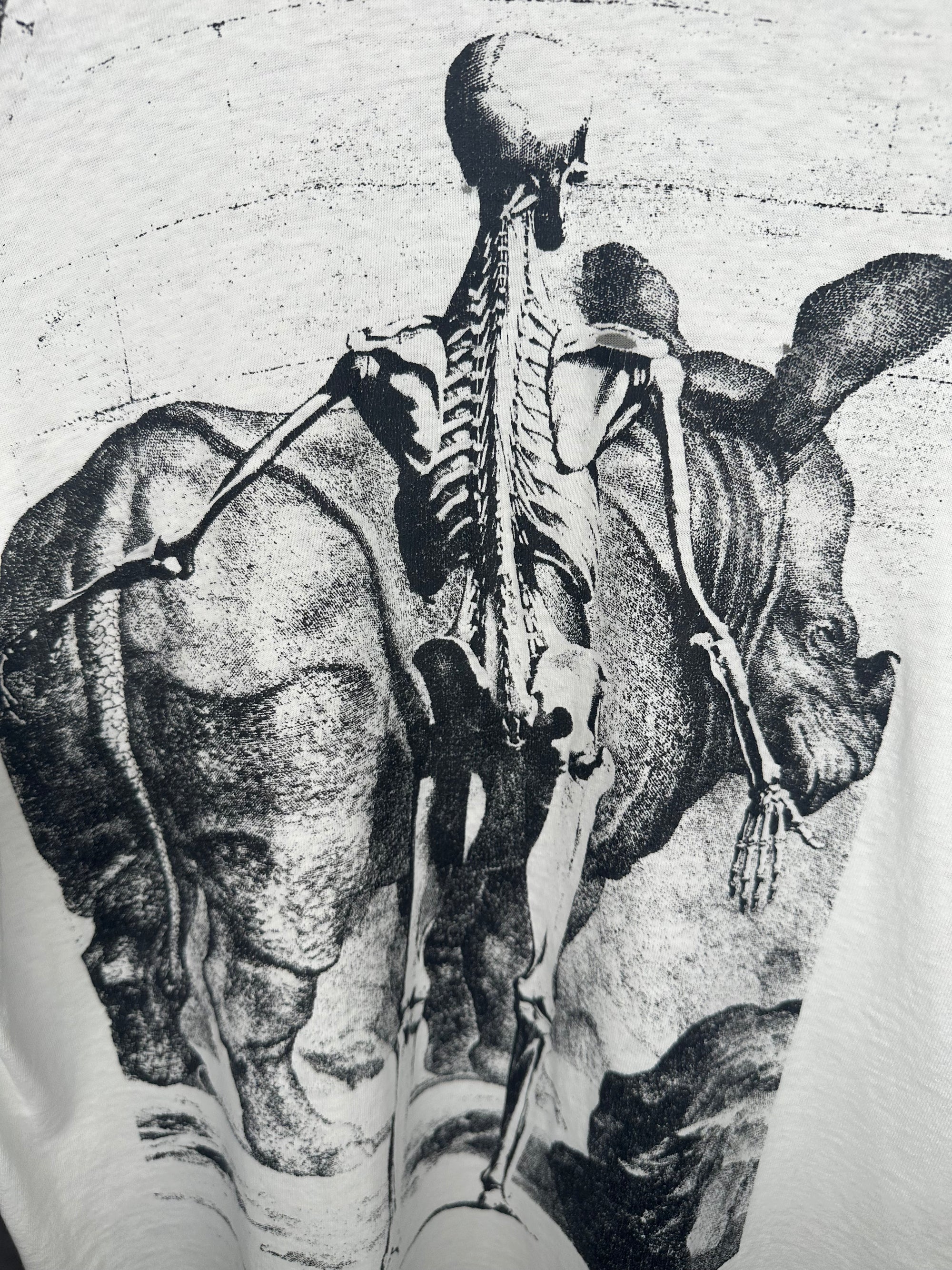 ANATOMY SKELETON WITH RHINOCEROS | JAN WANDELAAR ART