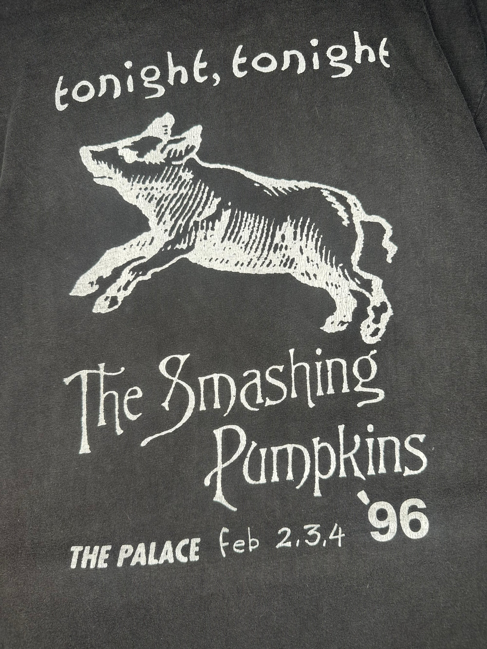 SMASHING PUMPKINS THE WORLD IS A VAMPIRE | TONIGHT, TONIGHT PALACE THEATRE BOOTLEG