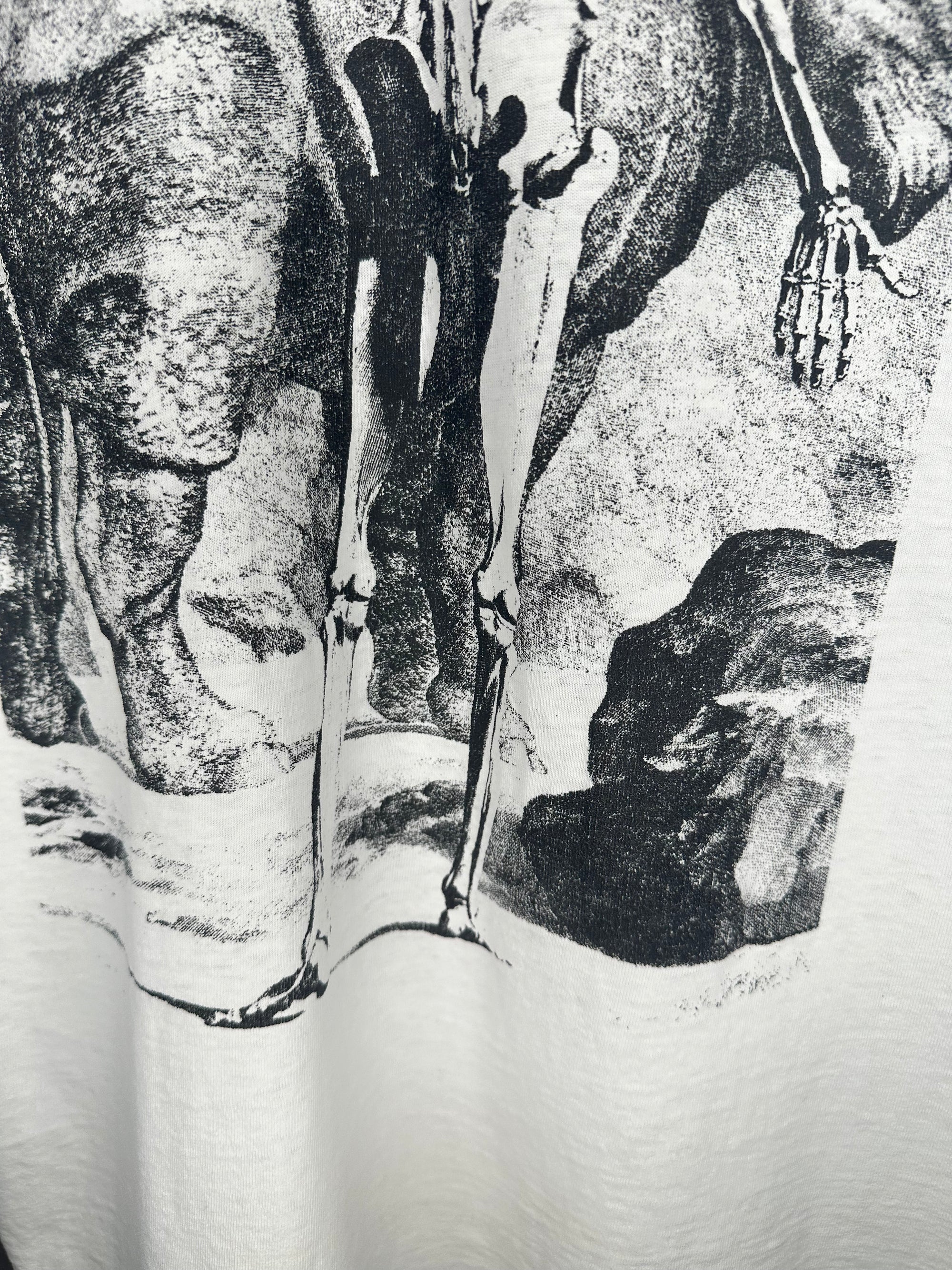 ANATOMY SKELETON WITH RHINOCEROS | JAN WANDELAAR ART