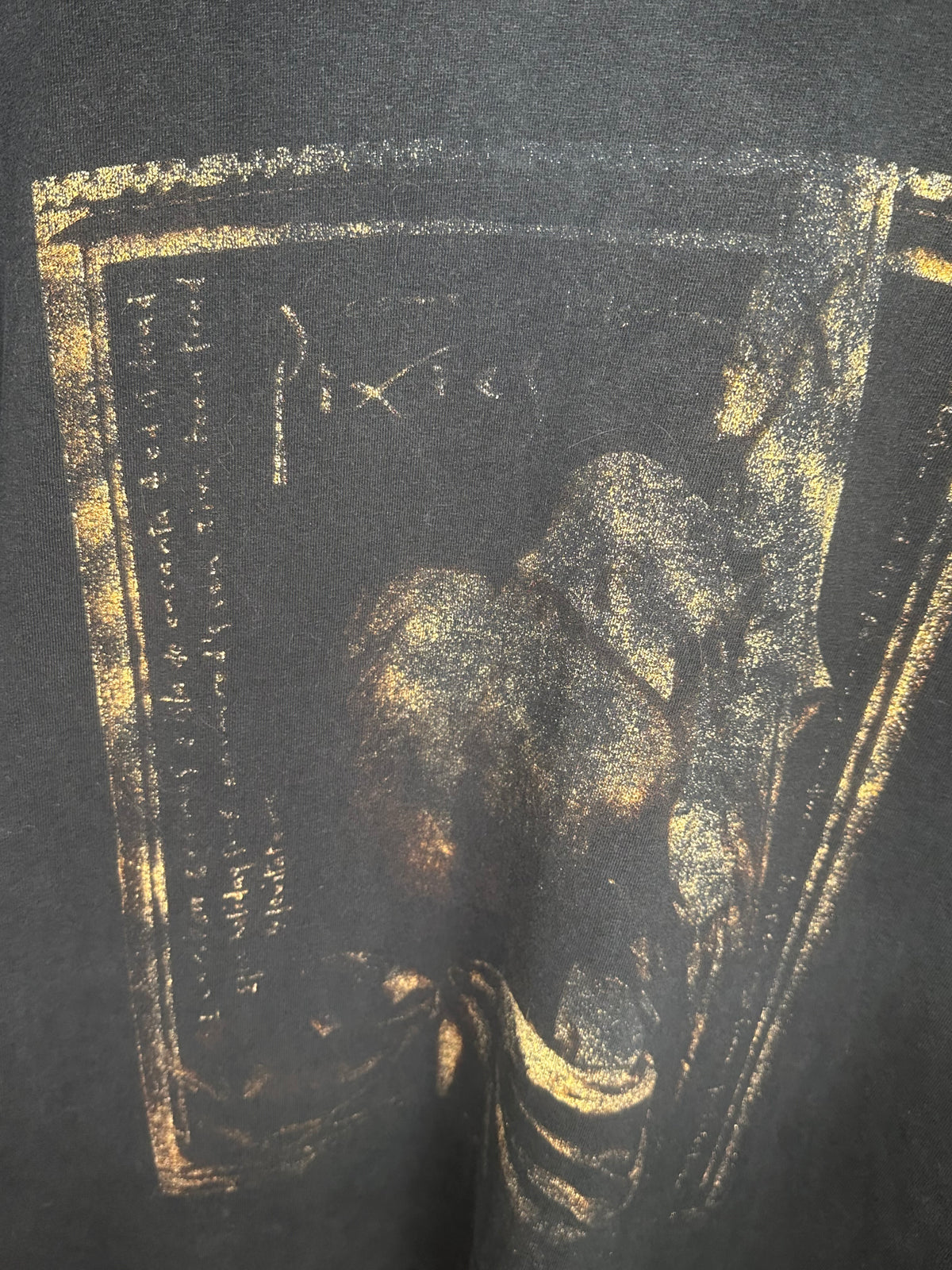 Vintage 2004 Pixies Come On Pilgrim Tour Shirt Large