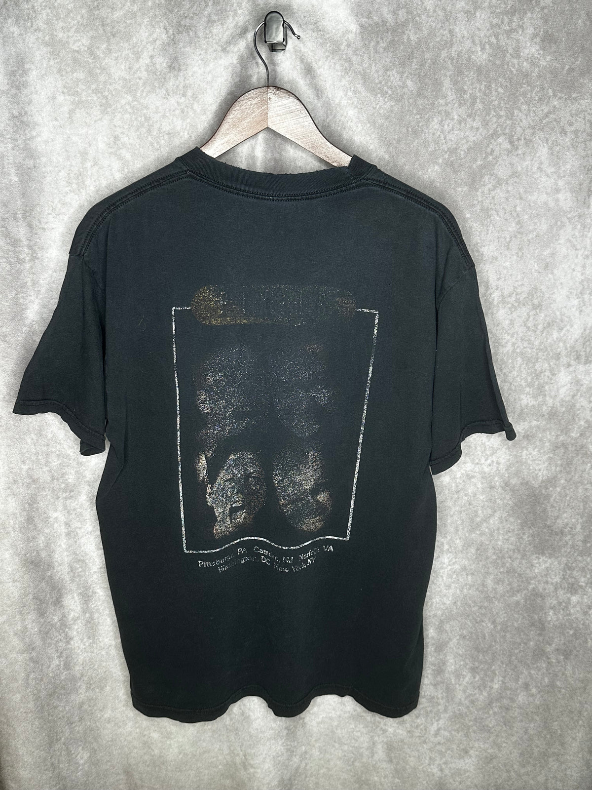 Vintage 2004 Pixies Come On Pilgrim Tour Shirt Large