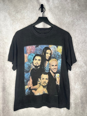 RED HOT CHILI PEPPERS BAND PORTRAIT PHOTO