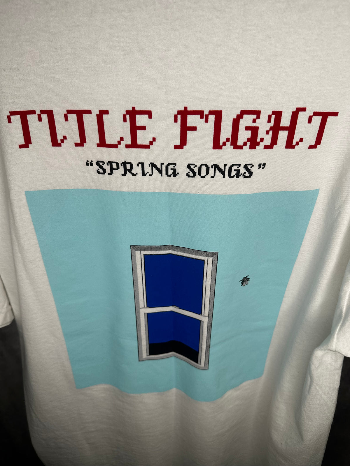 Vintage Title Fight Spring Songs Shirt XL