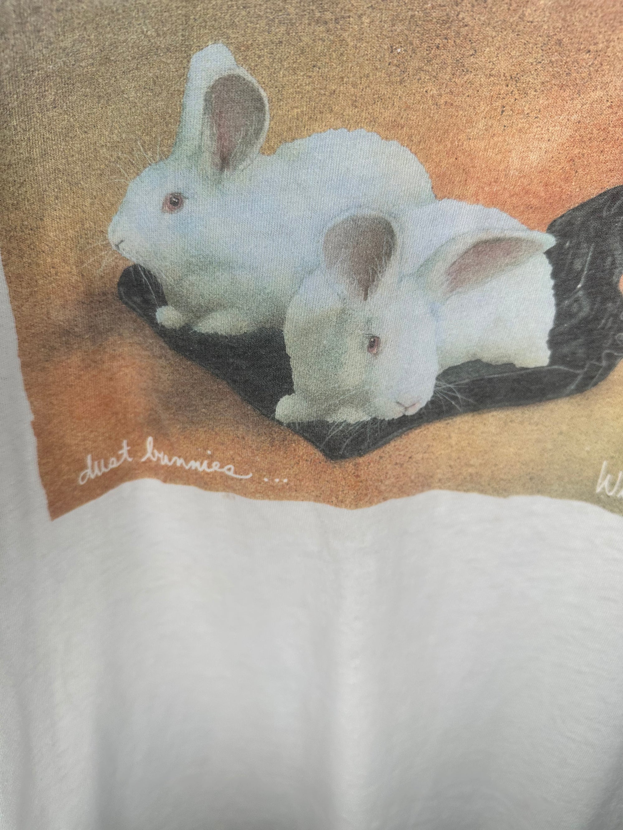 DUST BUNNIES ART | WILL BULAS DUSTPAN