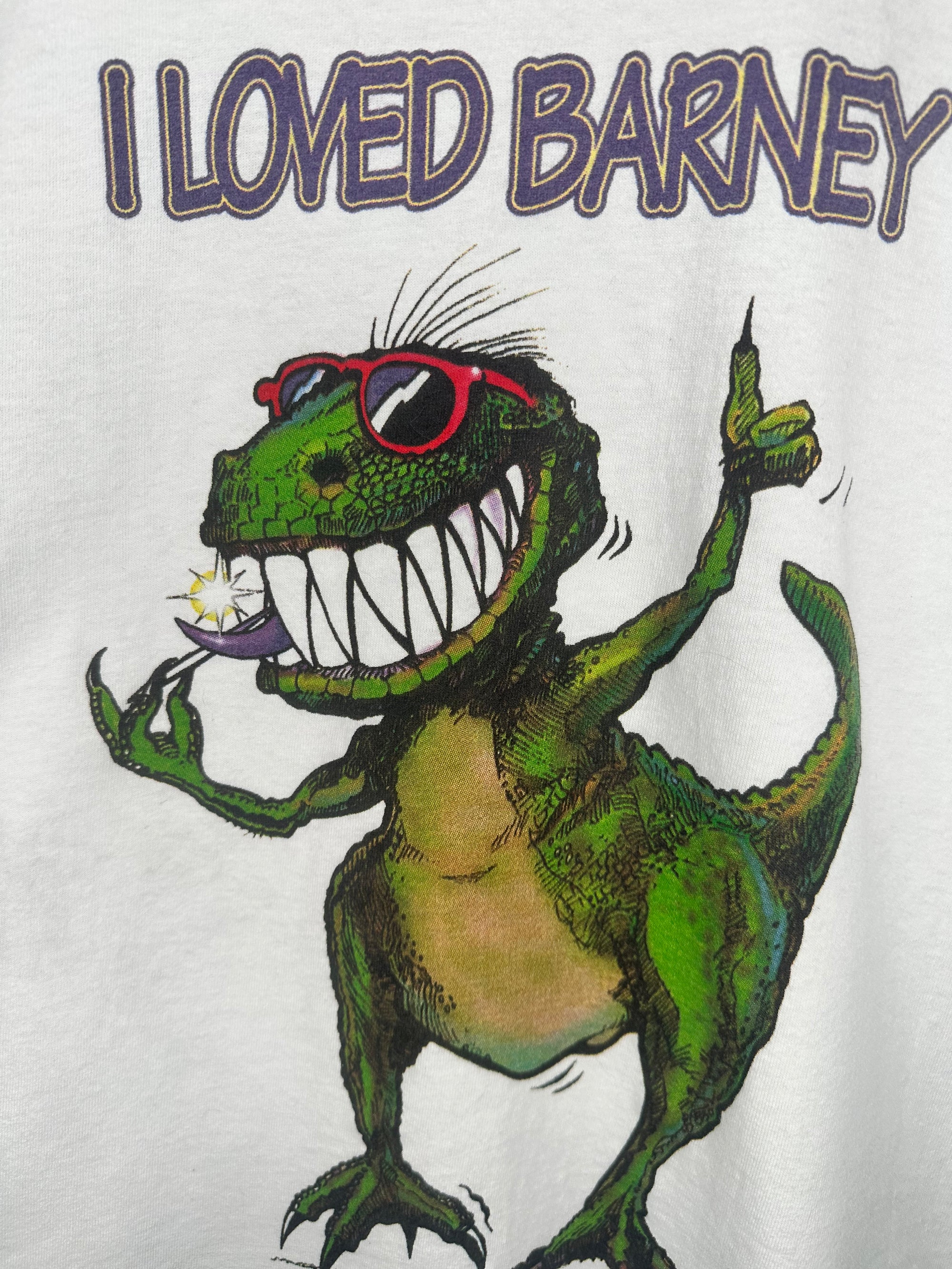 I LOVED BARNEY | THE WORLD POG