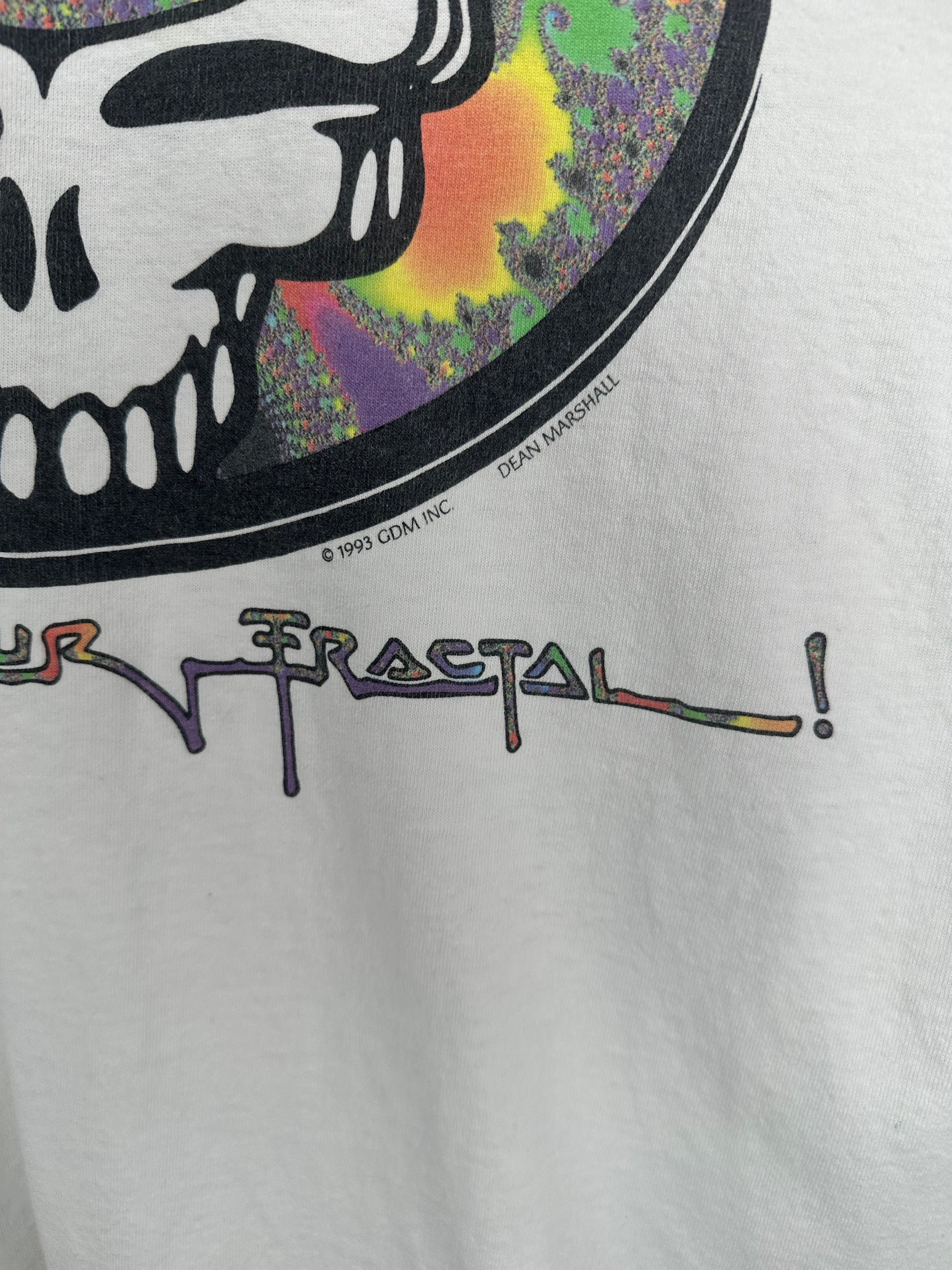 GRATEFUL DEAD | I STEAL YOUR FRACTUAL DIGITAL DEAD SPRING TOUR