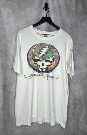 GRATEFUL DEAD | I STEAL YOUR FRACTUAL DIGITAL DEAD SPRING TOUR