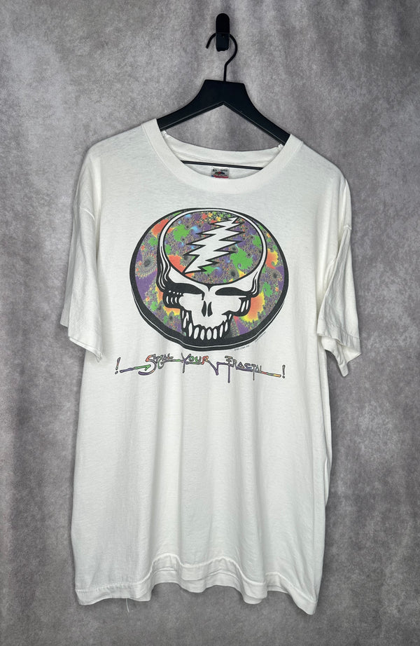 GRATEFUL DEAD | I STEAL YOUR FRACTUAL DIGITAL DEAD SPRING TOUR