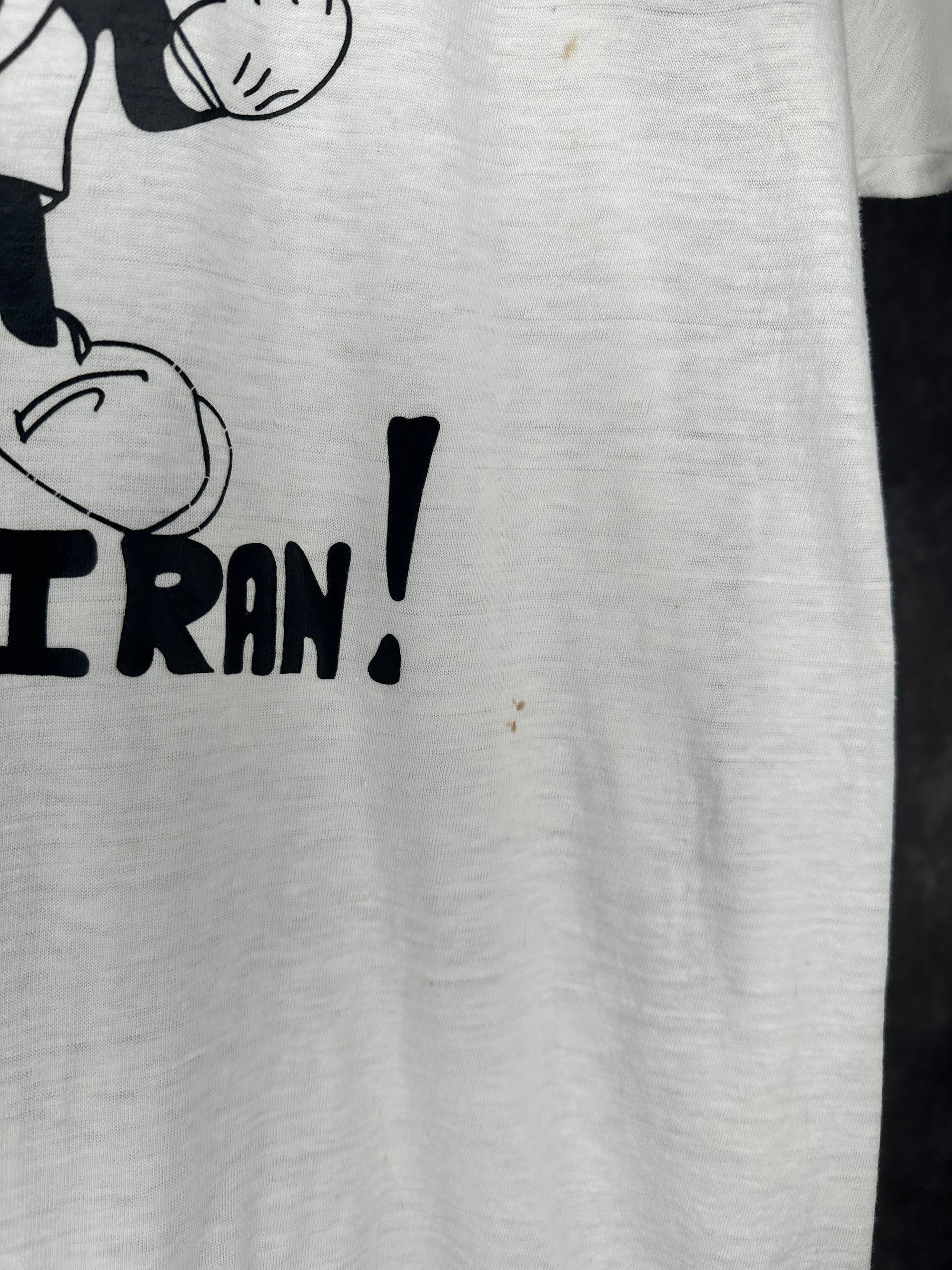 HEY IRAN | MICKEY MOUSE POLITICAL OBSCURE