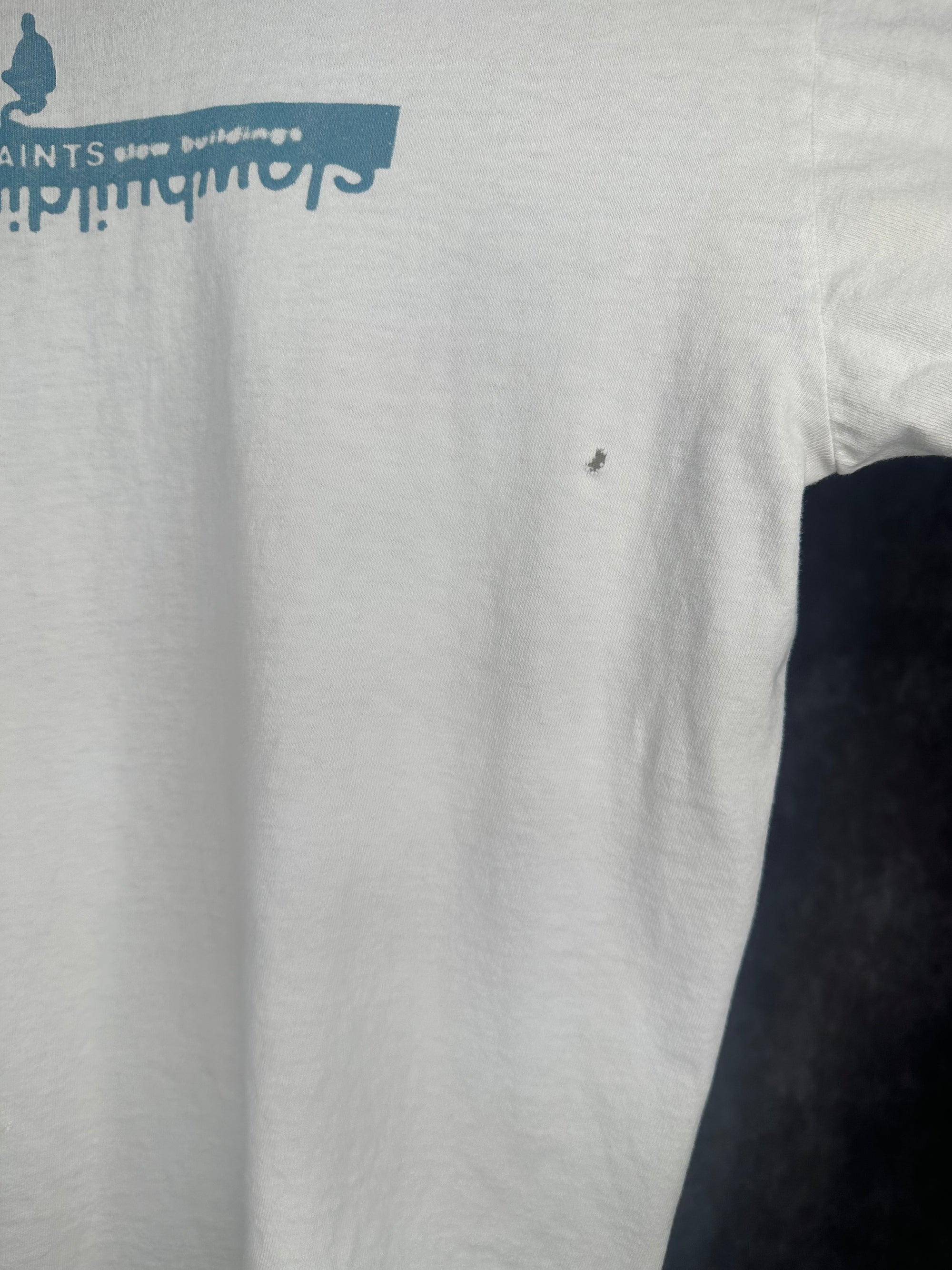 PALE SAINTS SLOW BUILDINGS LONGSLEEVE