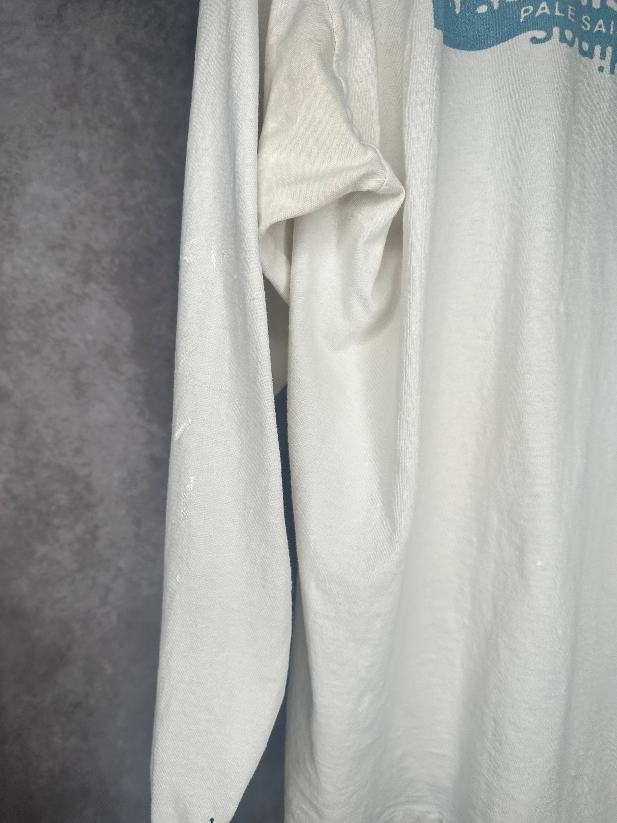 PALE SAINTS SLOW BUILDINGS LONGSLEEVE