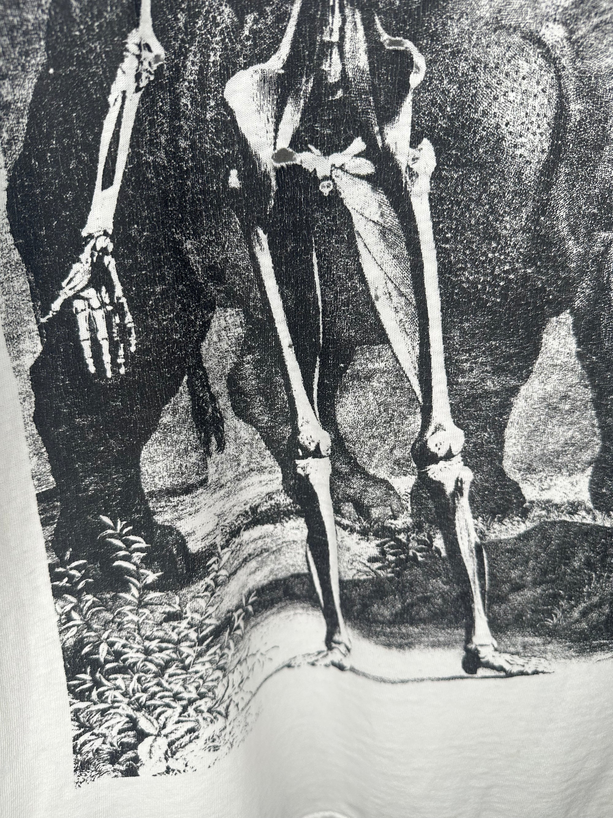 ANATOMY SKELETON WITH RHINOCEROS | JAN WANDELAAR ART
