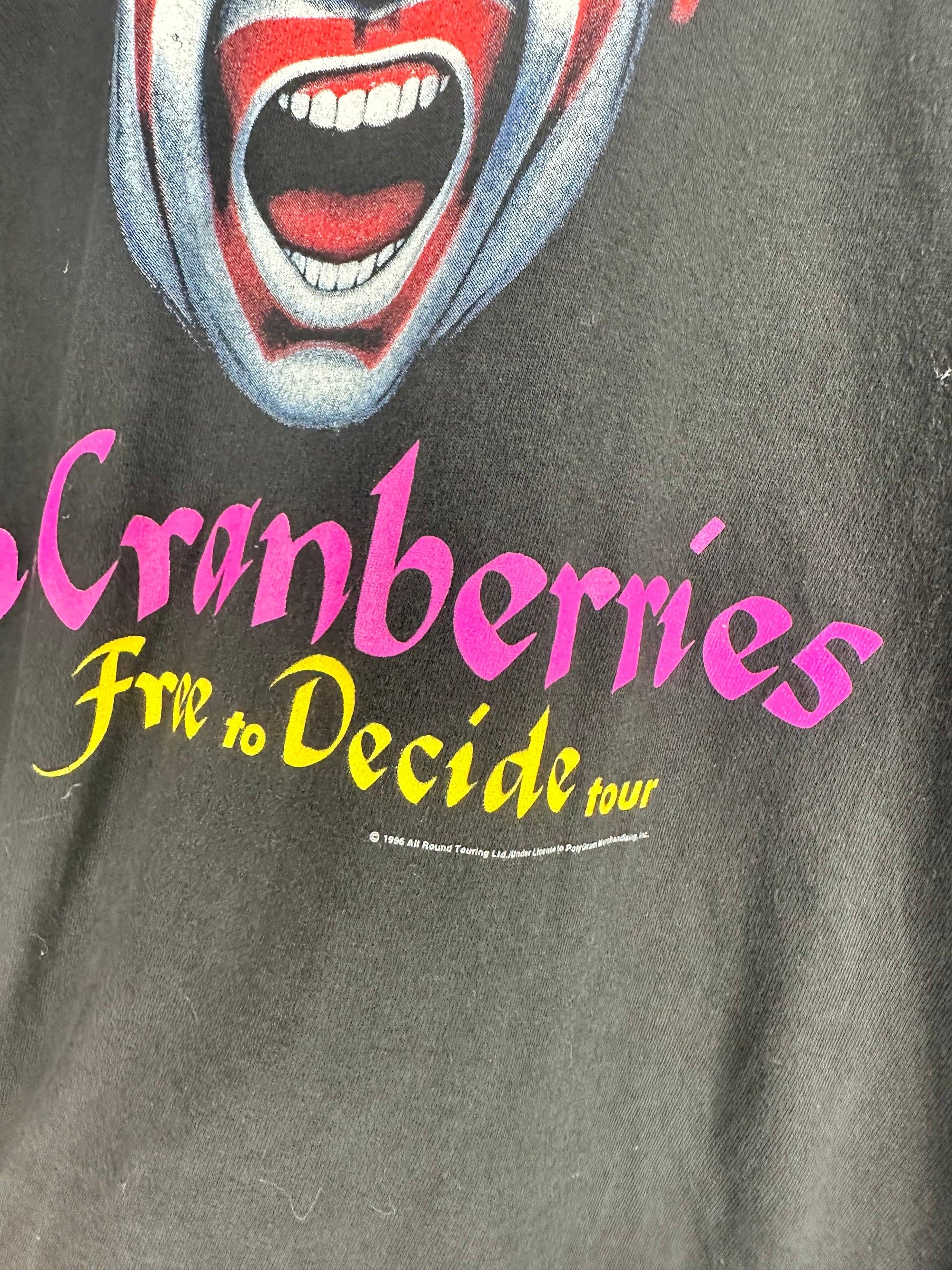 THE CRANBERRIES | FREE TO DECIDE TOUR CLOWN