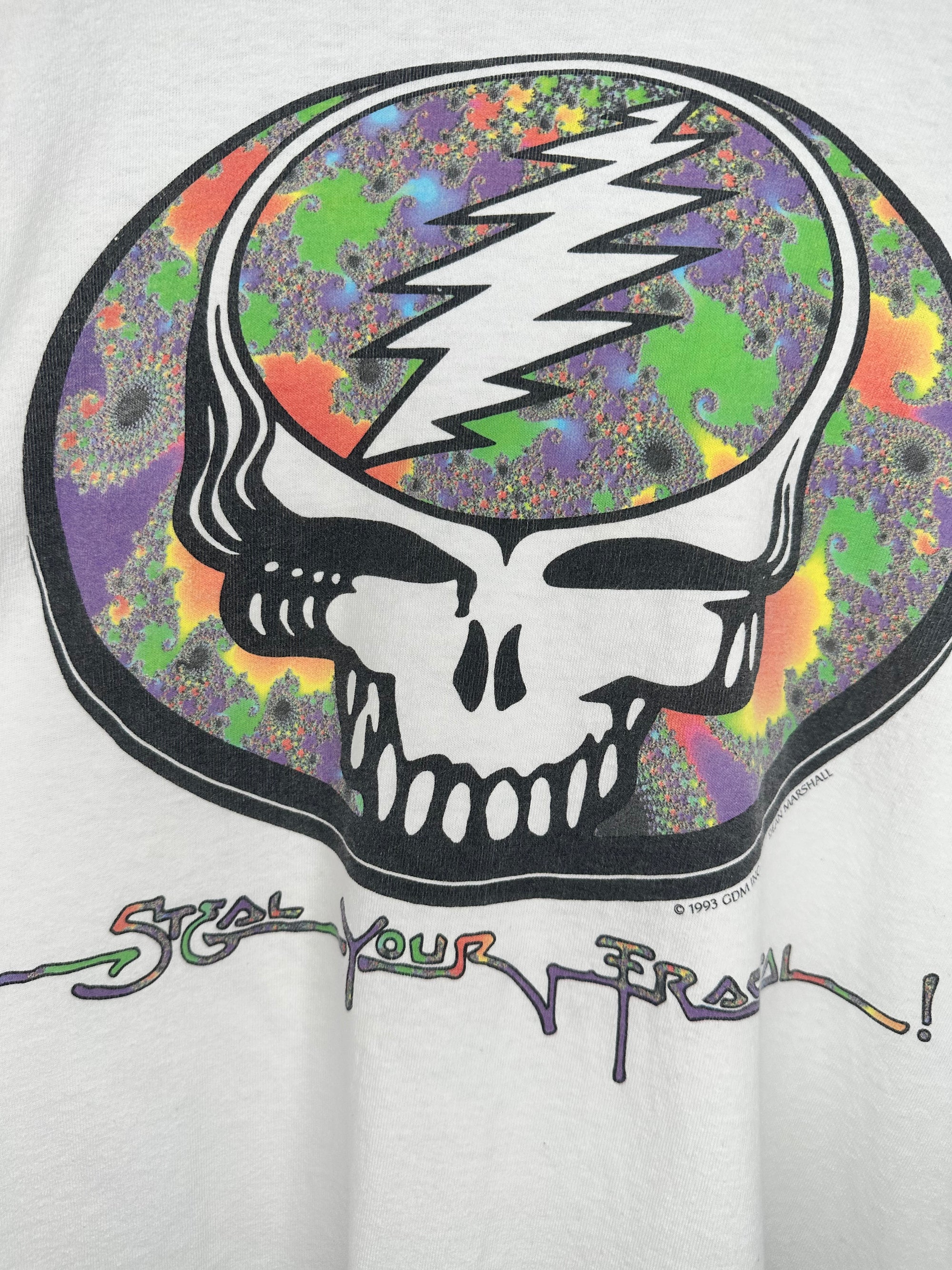 GRATEFUL DEAD | I STEAL YOUR FRACTUAL DIGITAL DEAD SPRING TOUR