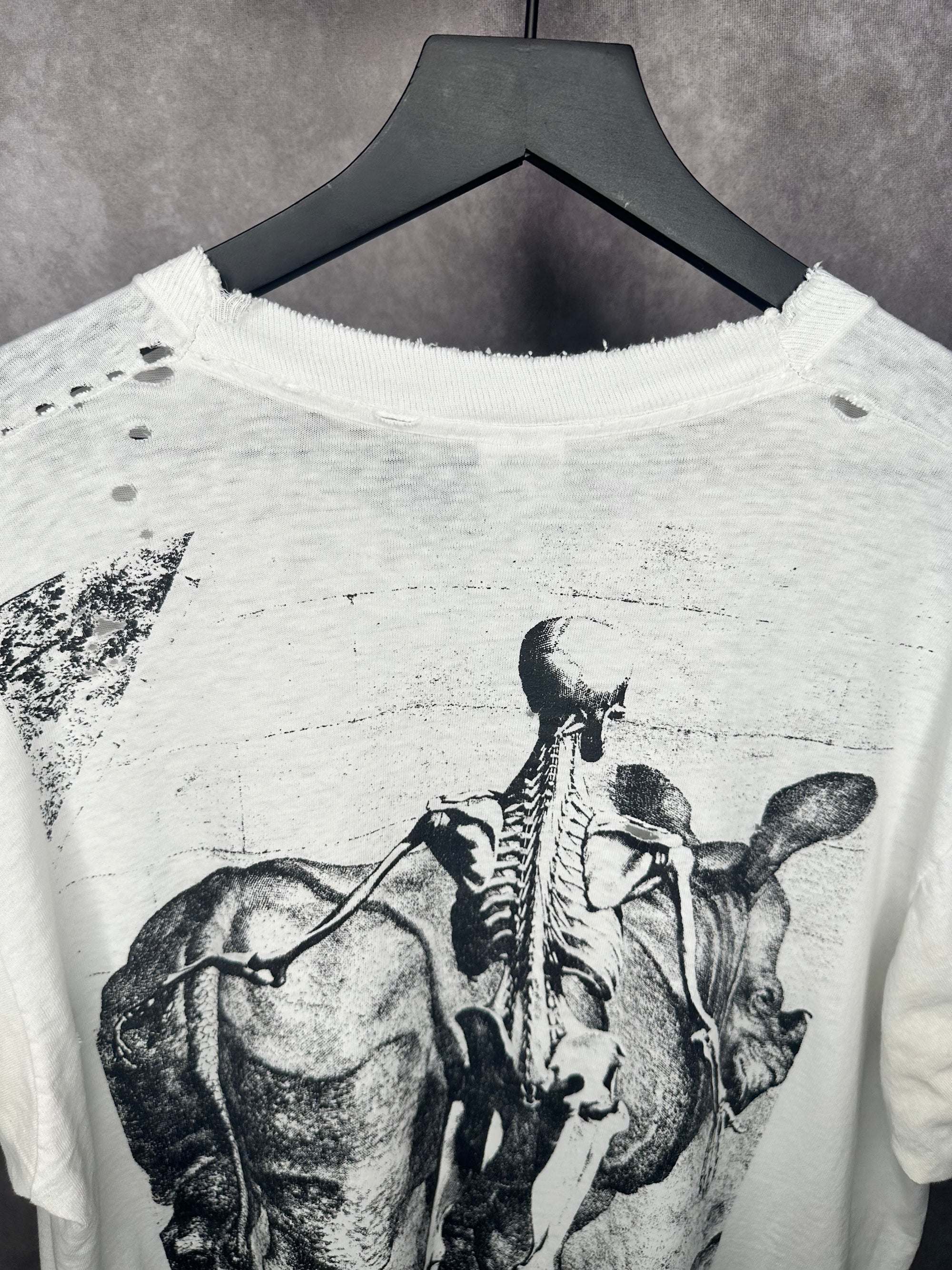 ANATOMY SKELETON WITH RHINOCEROS | JAN WANDELAAR ART