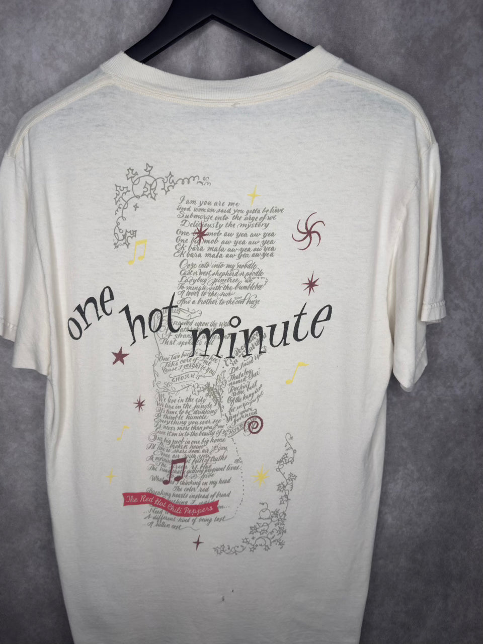 RED HOT CHILI PEPPERS ONE HOT MINUTE BATHTUB | WORLD TOUR RARE BACK