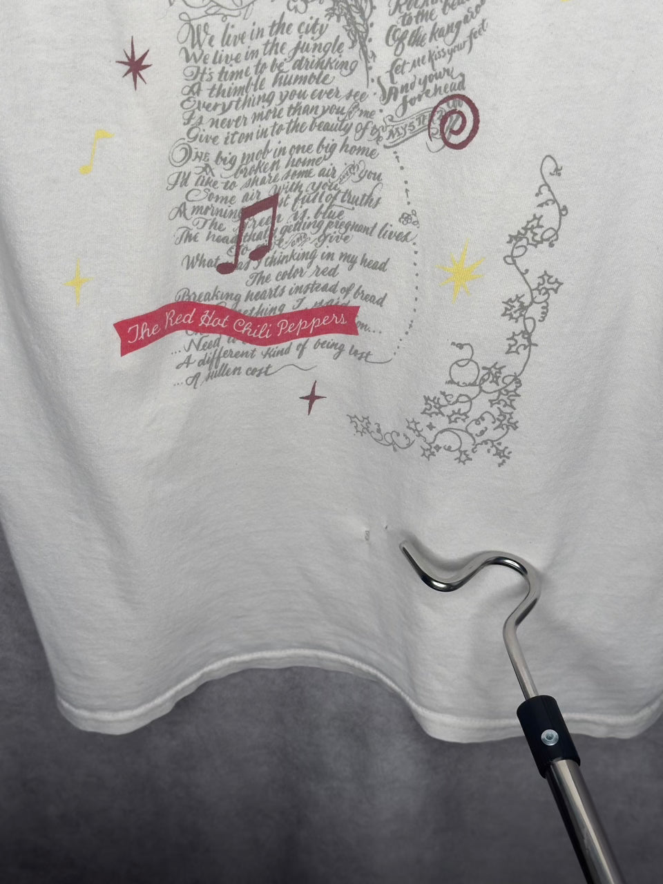 RED HOT CHILI PEPPERS ONE HOT MINUTE BATHTUB | WORLD TOUR RARE BACK