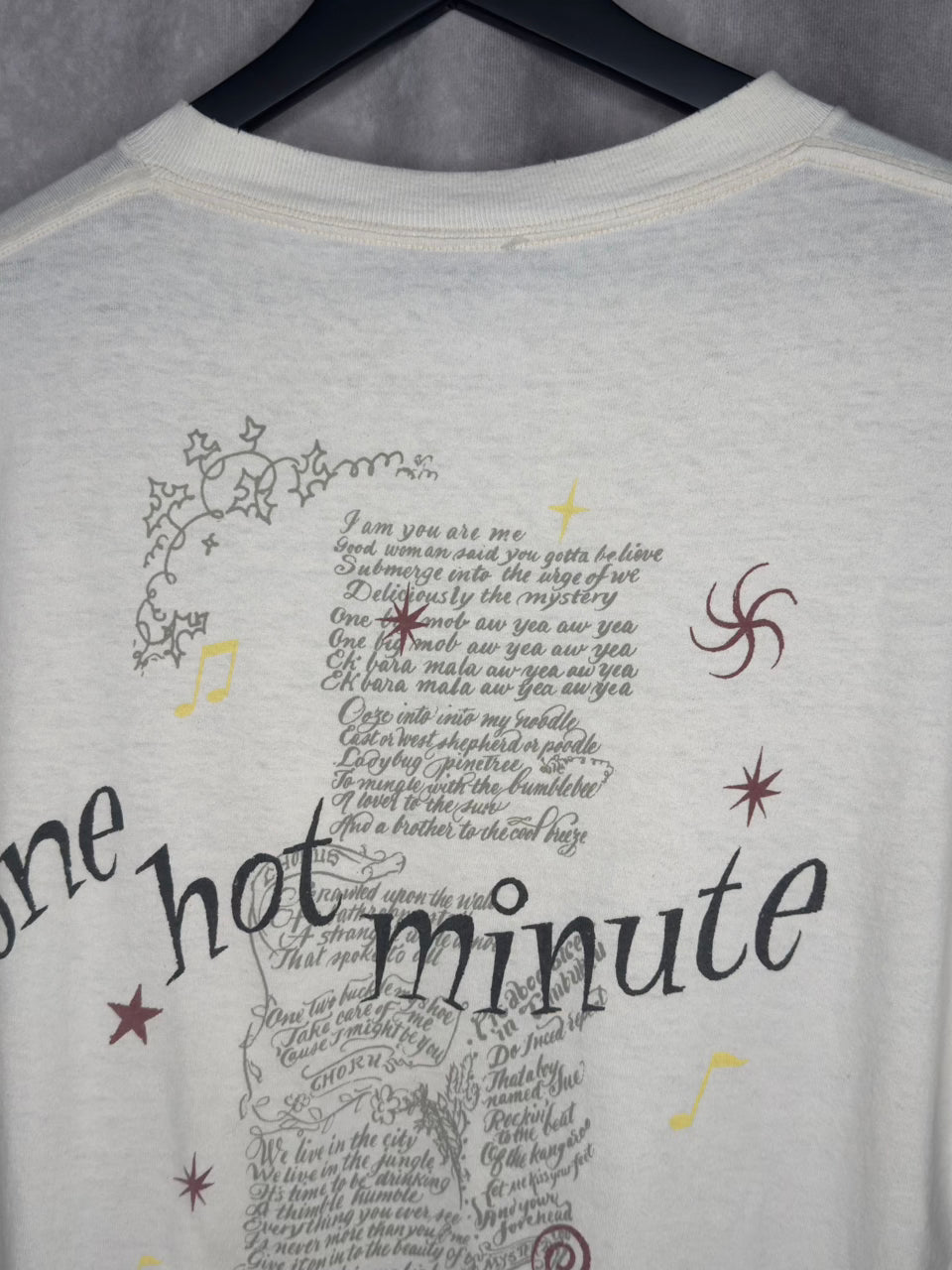 RED HOT CHILI PEPPERS ONE HOT MINUTE BATHTUB | WORLD TOUR RARE BACK